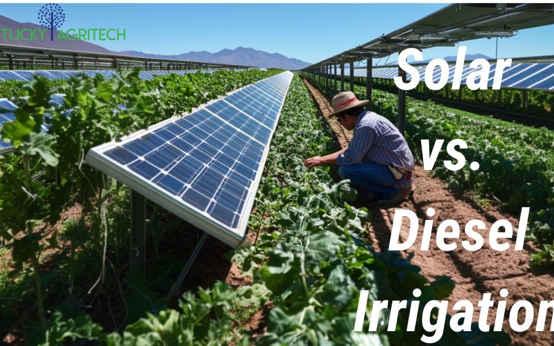 Solar vs. Diesel Irrigation: A Cost Comparison for Farmers to Save Money and Boost Sustainability